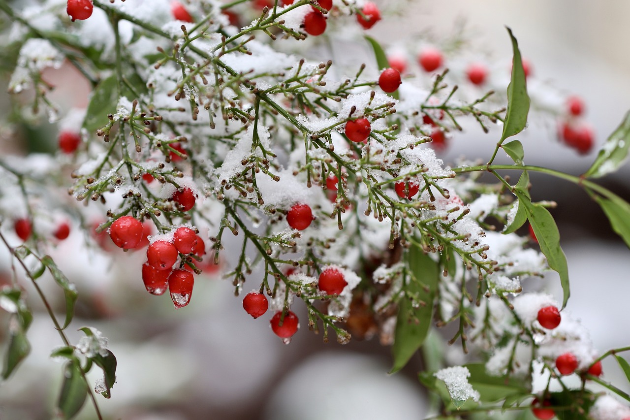 Tips for Photographing Snow and Ice While Traveling